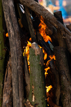 Beautiful fire flames on a campfireの写真素材