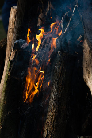 Beautiful fire flames on a campfireの写真素材