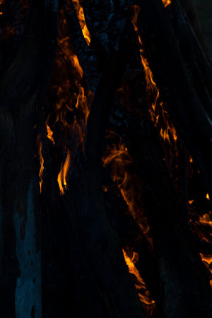 Beautiful fire flames on a campfire