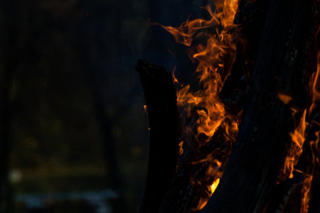 Beautiful fire flames on a campfireの写真素材