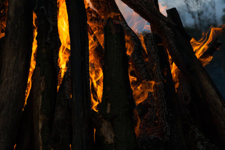 Beautiful fire flames on a campfire