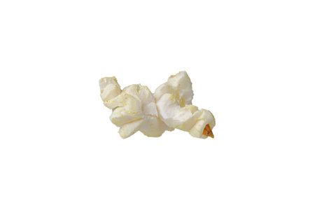 macro popcorn on isolated and white background close upの写真素材