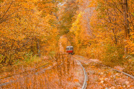 Autumn forest through which the tram travels, Kyiv and rails close-upの写真素材