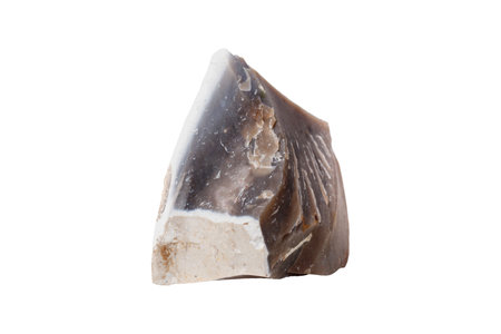Flint mineral stone in the rock on a white background close upの写真素材