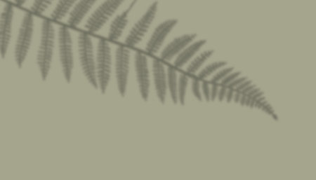 shadow from plant branches on green background close-up