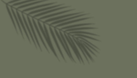 shadow from plant branches on green background close-up