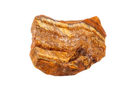 Tiger's eye mineral stone in the breed on a white background close upの写真素材