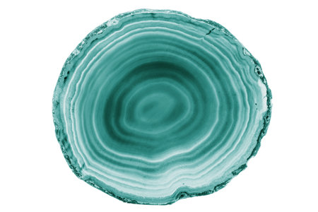 A painted Green agate slice with white veins on a white background suits decor and craft projects. Its layered texture adds a natural elegance to various designs.の写真素材