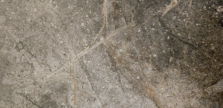A dark brown tile texture with natural veins on a white background suits various design projects. Its unique pattern adds a rich elegance to decor.の写真素材