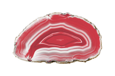 A painted Red agate slice with white veins on a white background highlights nature's beauty. Its layered structure makes it a stunning natural decor piece.の写真素材