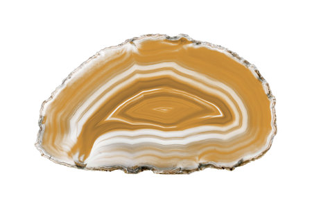 A painted brown agate slice with white veins on a white background is perfect for jewelry. Its...