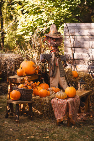 A cozy autumn harvest scene features a scarecrow surrounded by pumpkins on wooden benches, with hay bales and a warm blanket. Misty air adds a mystical touch, perfect for fall decor or seasonalの写真素材