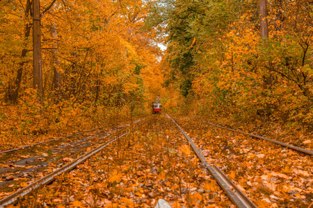 Autumn forest through which the tram travels, Kyiv and rails close-upの写真素材