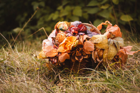 A charming basket of dried flowers and leaves in autumn hues sits on grassy terrain. Ideal for seasonal decor, DIY projects, or fall marketing campaigns.の写真素材