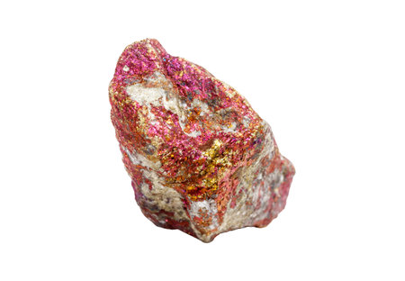 A colorful chalcopyrite mineral with golden flecks on a white isolated background, exhibiting pink iridescence and metallic sheen. Great for collectors or scientific exhibits.の写真素材