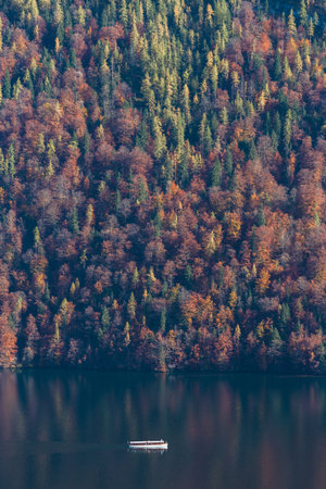 Autumn forest on the shore of the lake in the mountains.の写真素材