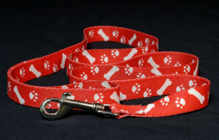red dog leash with paw prints on black backgroundの写真素材