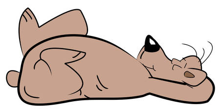 sleeping bear lying on his back - vectorのイラスト素材