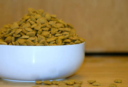 heaping bowl or dish of pet food or dog food 