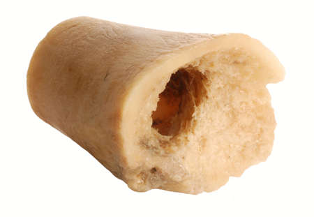 chewed dog bone isolated on white background