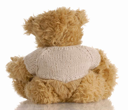 teddy bear looking away with reflection on white background