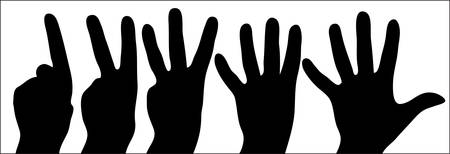 counting hands from one to five on white background - illustration のイラスト素材