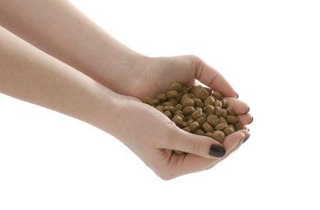 womans hands full of dog food or kibble on white background