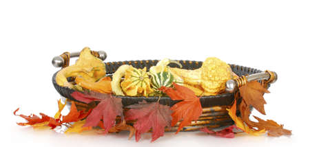 wicker basket filled with autumn leaves and gourds with reflection on white backgroundの写真素材