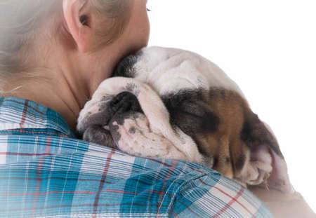 woman hugging new puppy on black background - 8 week old bulldogの写真素材