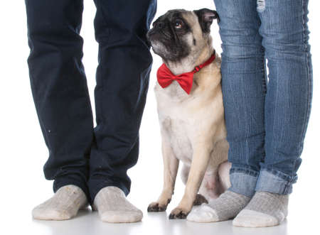 mixed breed dog sitting between man and woman's feet on white backgroundの写真素材