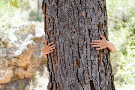 child's hands embracing the trunk of a big tree
