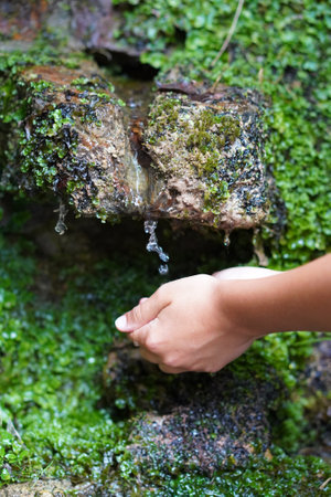 child's hands collecting drops of water falling from a natural drinking fountain. environmental education conceptの写真素材