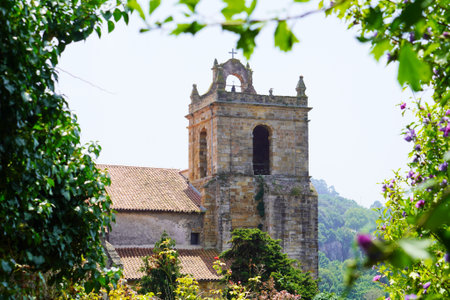 view of church tower from foliage during a visit to the medieval town of Daroca in spain