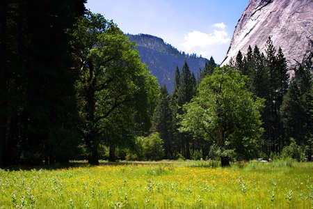 The Yosemite Valley in Yosemite National Park, Californiaの写真素材