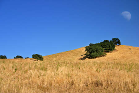 Moon and Field
の写真素材