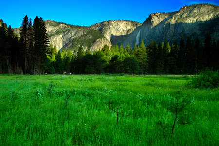 The Yosemite Valley in Yosemite National Park, Californiaの写真素材