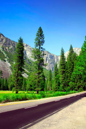 The Yosemite Valley in Yosemite National Park, Californiaの写真素材