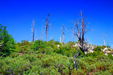 The Yosemite Valley in Yosemite National Park, California