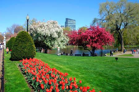 View of Boston Public Garden in spring
の写真素材