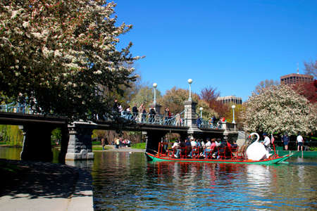 View of Boston Public Garden in spring
のeditorial素材