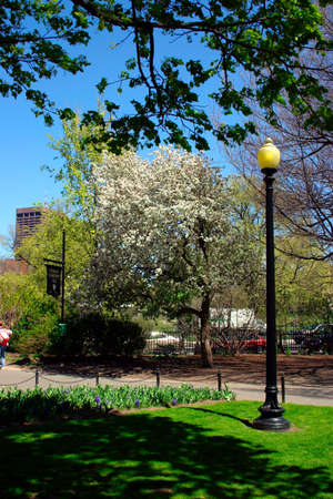 Flowers blossom in the spring
の写真素材