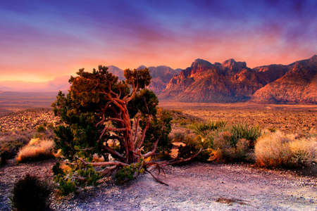 The Red Rock Canyon National Conservation Area is located just a few miles west of Las Vegas and encompasses 197,000 acres within the Mojave Desert.  Red Rock is an  area of world wide geologic interest and beauty. The most significant geologic feature ofの写真素材