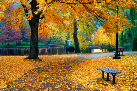 Autumn in Boston Public Garden, Massachusetts, USA
の写真素材