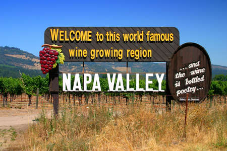 Vineyard at Sonoma and Napa Valley, California
の写真素材