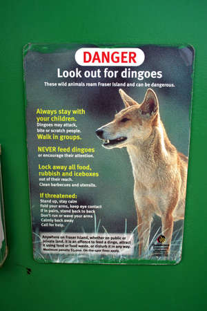 Fraser Island, Australia is the largest sand island in the world
の写真素材