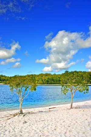 Lake McKenzie is one of the popular freshwater lake at Fraser Island, Australia
の写真素材