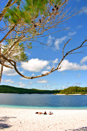 Lake McKenzie is one of the popular freshwater lake at Fraser Island, Australia
の写真素材
