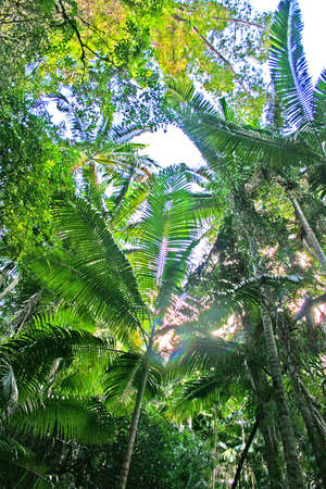 Fraser Island, Australia is the largest sand island in the world

