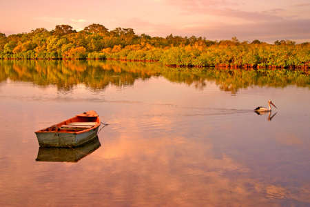 Noosaville, Sunshine Coast, Australia
の写真素材