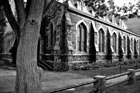 Harvard is the oldest institution of higher learning in the United States
の写真素材
